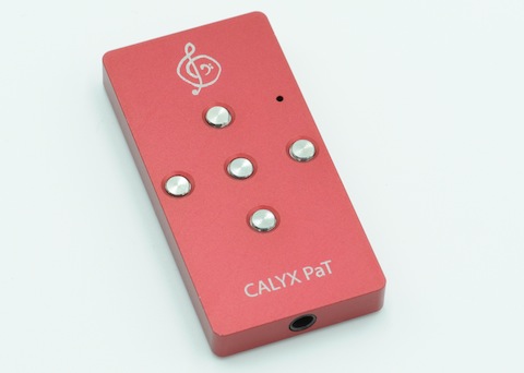 Calyx PaT_1