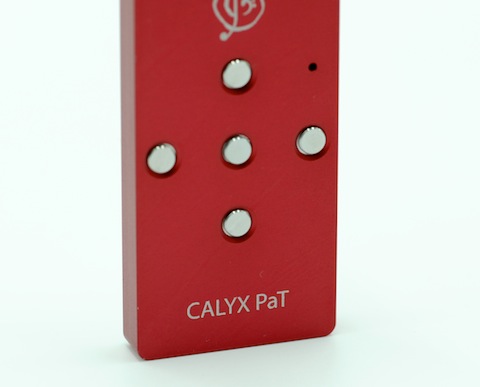 Calyx PaT_3