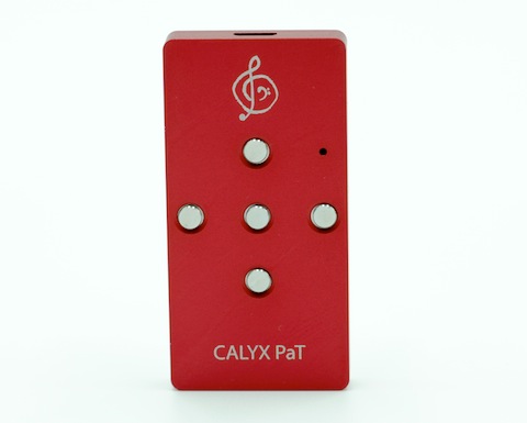 Calyx PaT_4